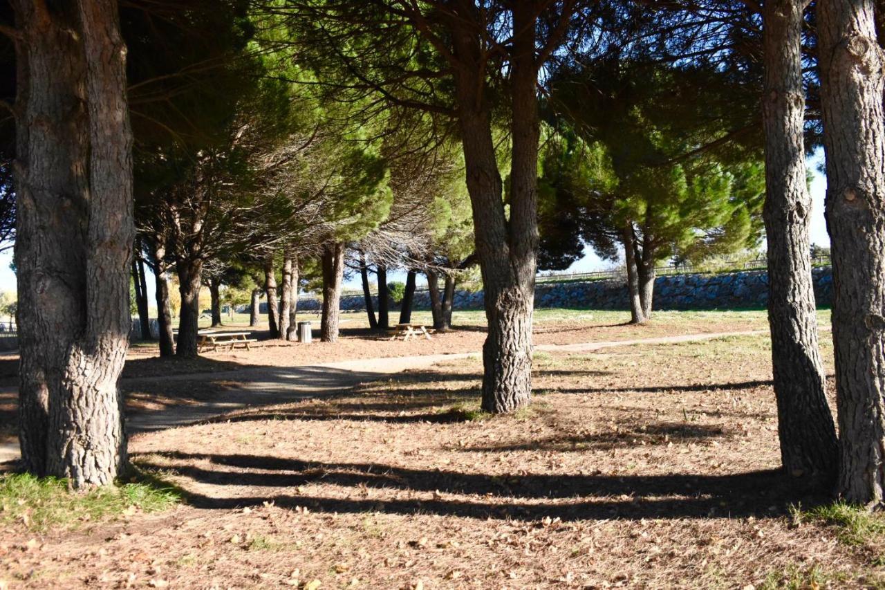 La Solana Villa Saint-Laurent-de-la-Salanque Kültér fotó